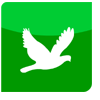 Click to find out more about our Bird and Owl Surveys...